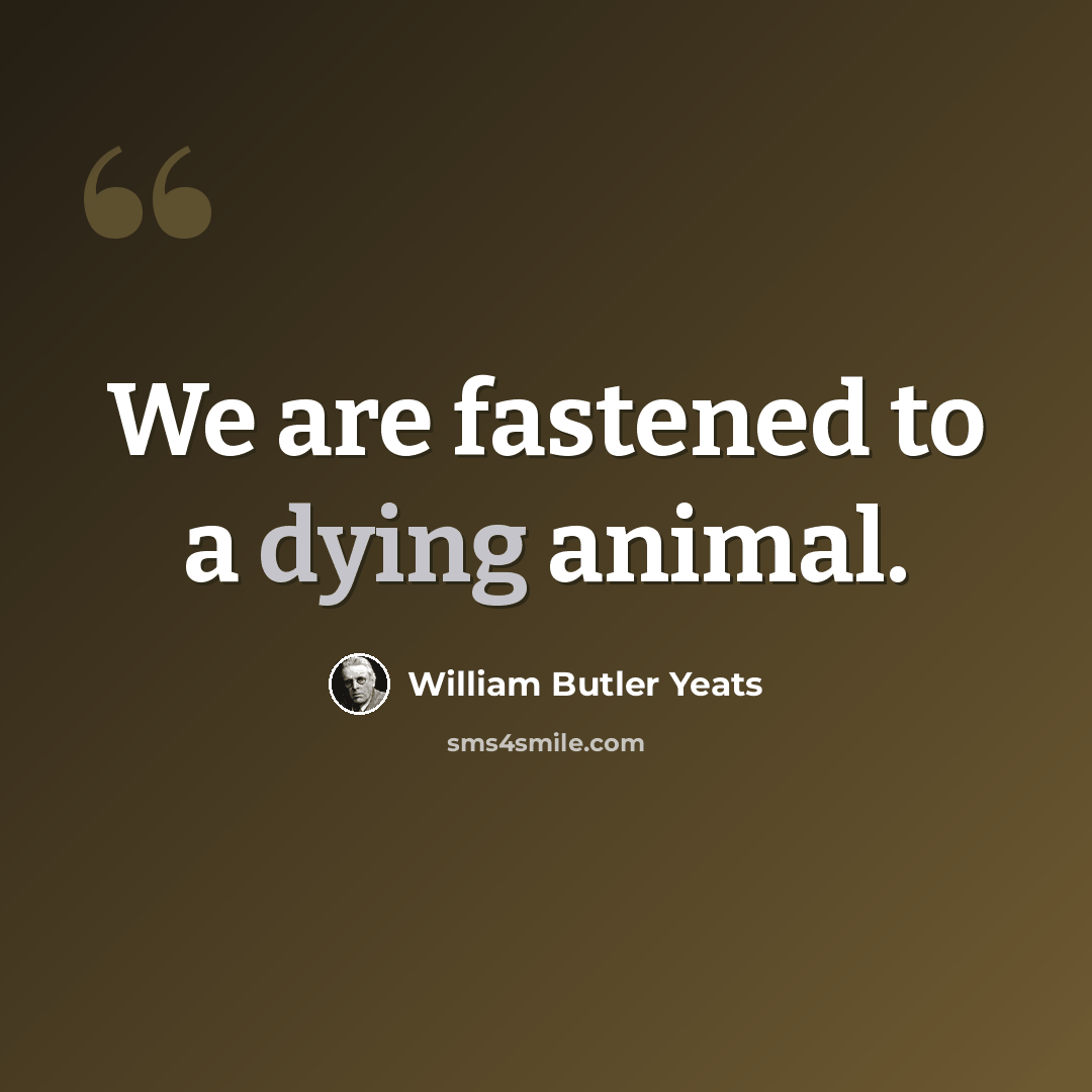 “We are fastened to a dying animal.” quote by William Butler Yeats