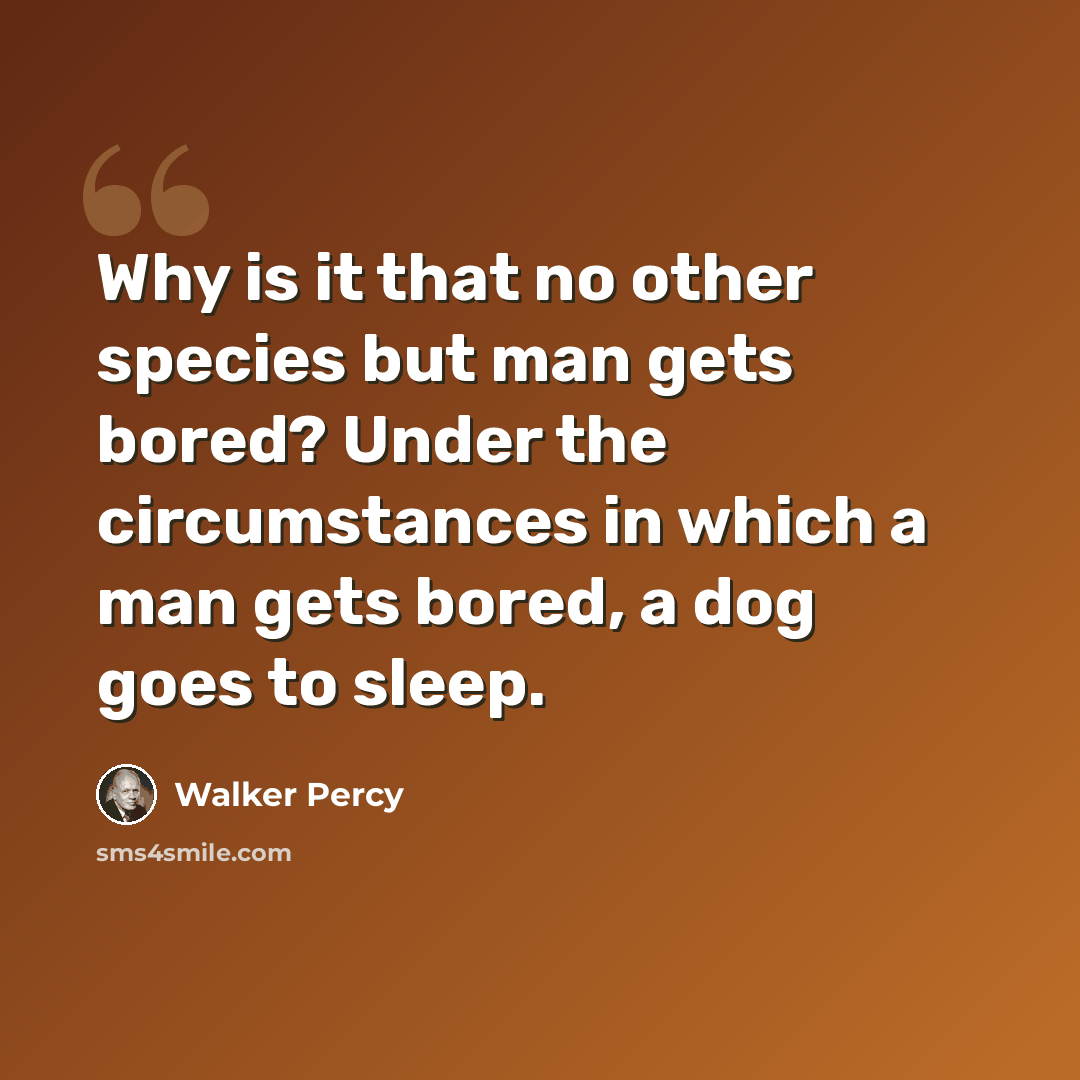 “Why is it that no other species but man gets bored? Under the circumstances in which a man gets bored, a dog goes to sleep.” quote by Walker Percy