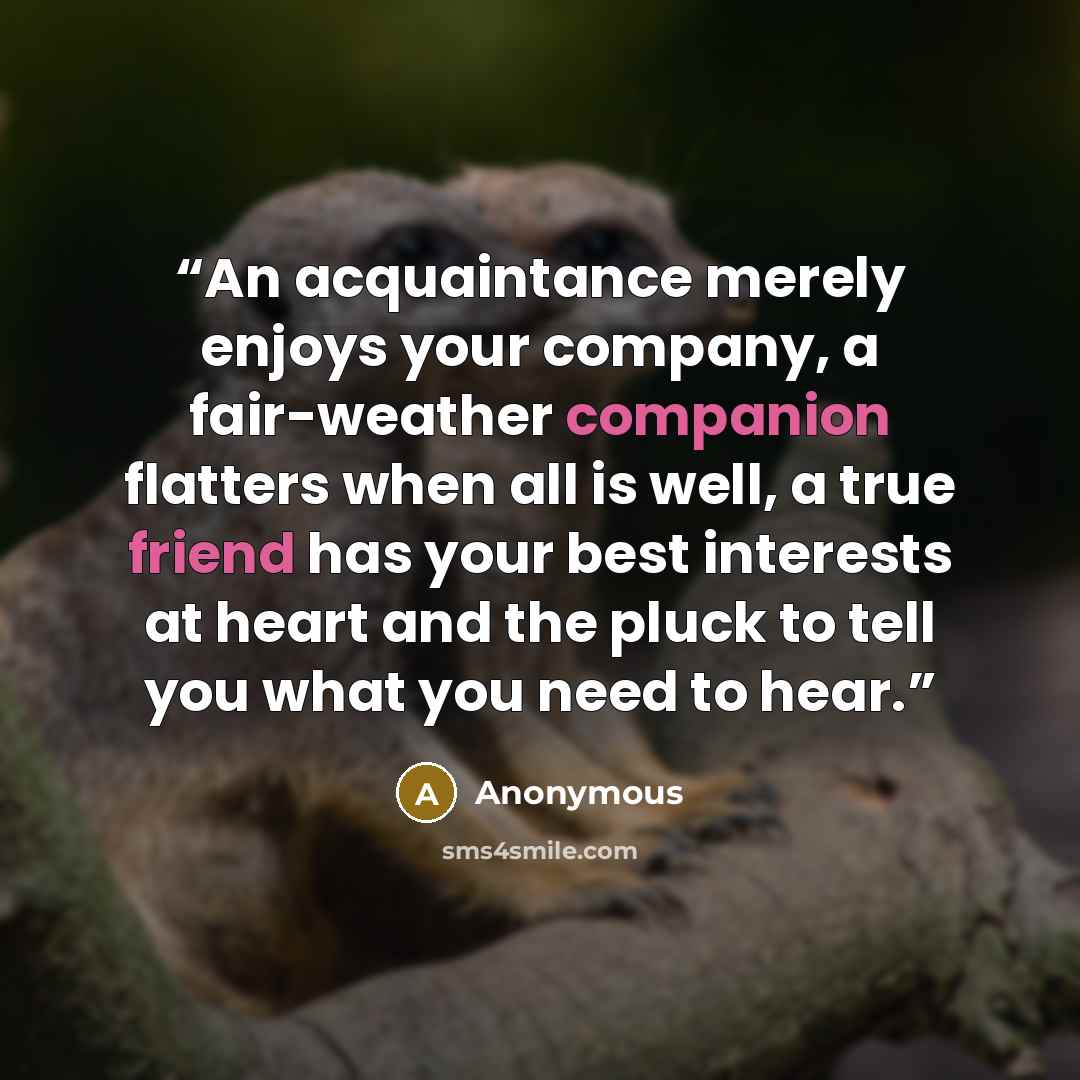 “An acquaintance merely enjoys your company, a fair-weather companion flatters when all is well, a true friend has your best interests at heart and the pluck to tell you what you need to hear.” quote by Anonymous