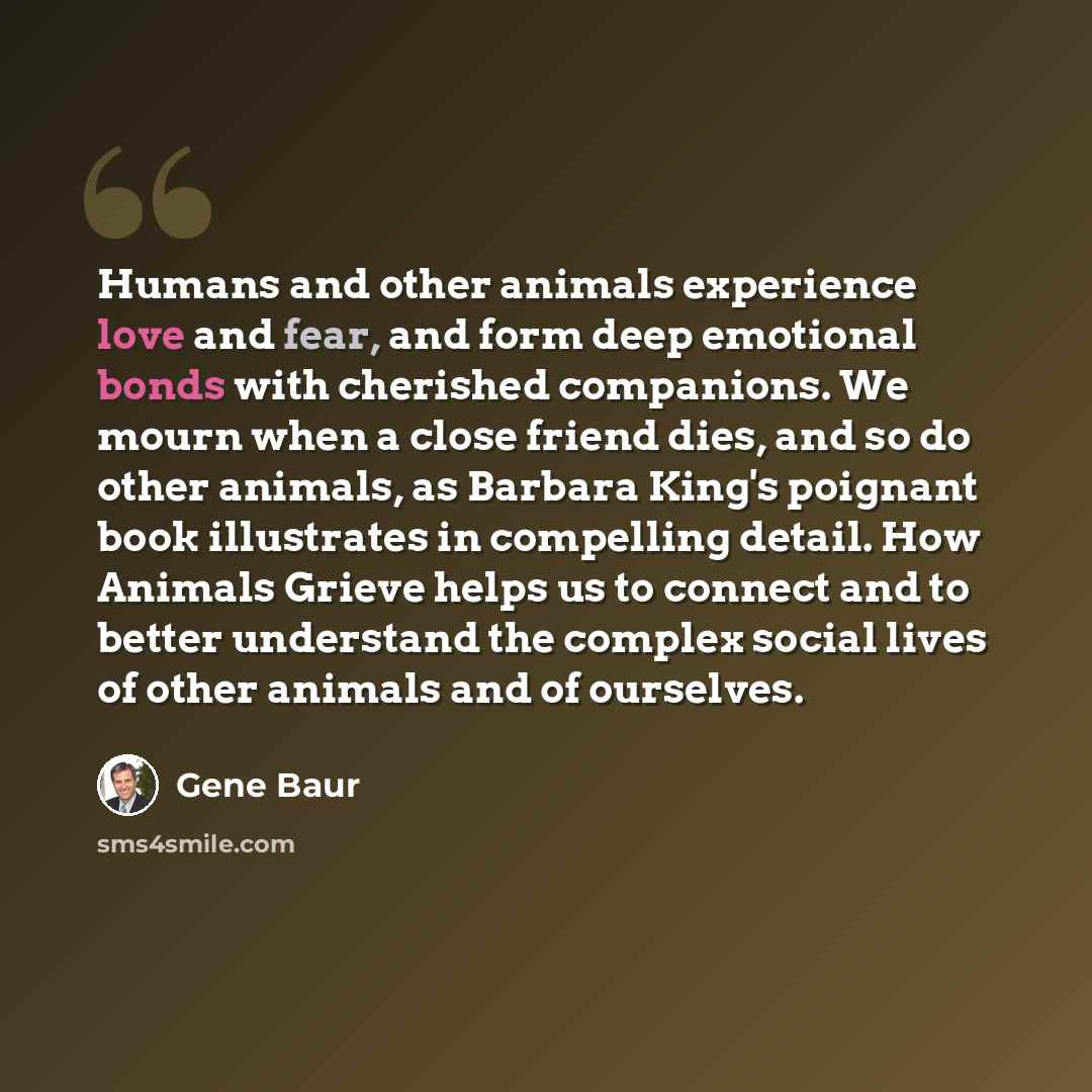 “Humans and other animals experience love and fear, and form deep emotional bonds with cherished companions. We mourn when a close friend dies, and so do other animals, as Barbara King's poignant book illustrates in compelling detail. How Animals Grieve helps us to connect and to better understand…” quote by Gene Baur