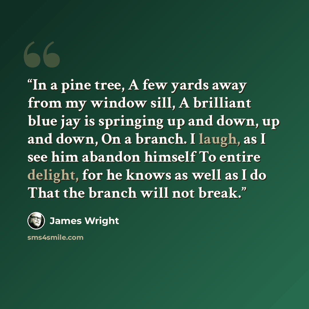 “In a pine tree, A few yards away from my window sill, A brilliant blue jay is springing up and down, up and down, On a branch. I laugh, as I see him abandon himself To entire delight, for he knows as well as I do That the branch will not break.” quote by James Wright