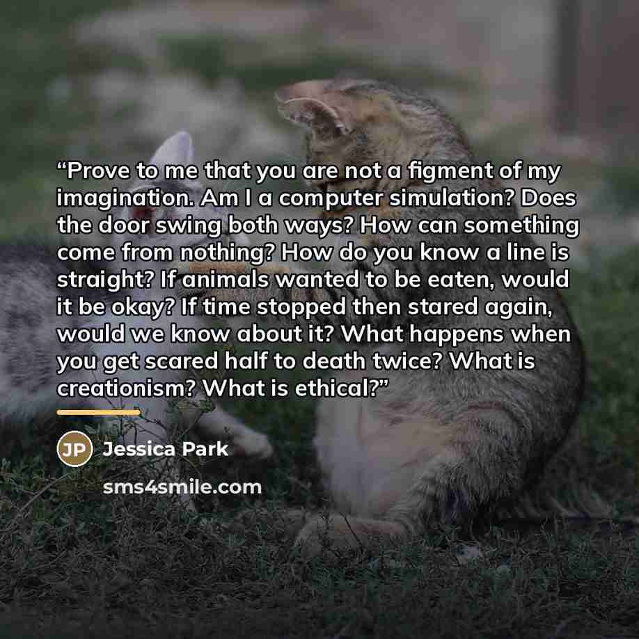 “Prove to me that you are not a figment of my imagination. Am I a computer simulation? Does the door swing both ways? How can something come from nothing? How do you know a line is straight? If animals wanted to be eaten, would it be okay? If time stopped then stared again, would we know about it?…” quote by Jessica Park