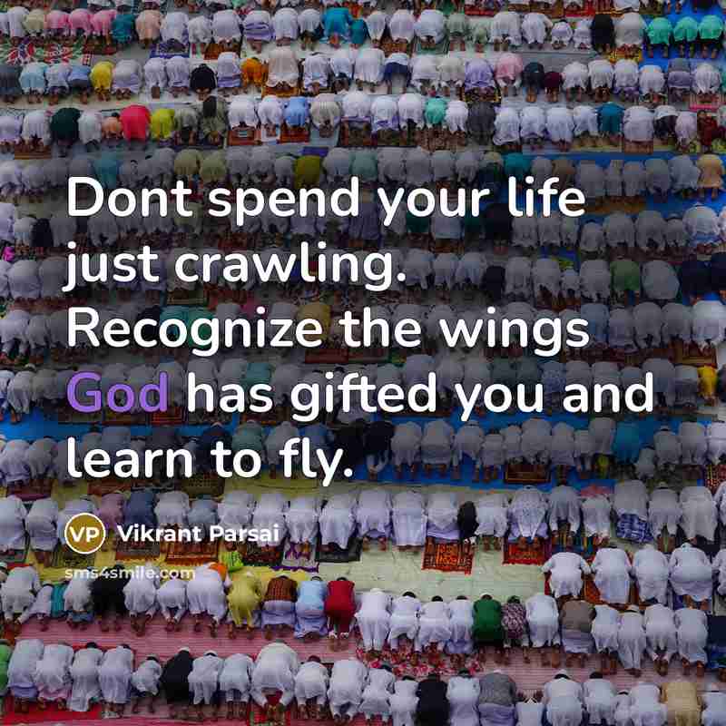 “Dont spend your life just crawling. Recognize the wings God has gifted you and learn to fly.” quote by Vikrant Parsai