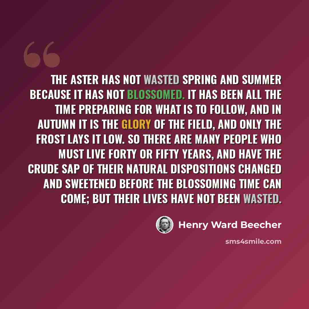 “The aster has not wasted spring and summer because it has not blossomed. It has been all the time preparing for what is to follow, and in autumn it is the glory of the field, and only the frost lays it low. So there are many people who must live forty or fifty years, and have the crude sap of…” quote by Henry Ward Beecher