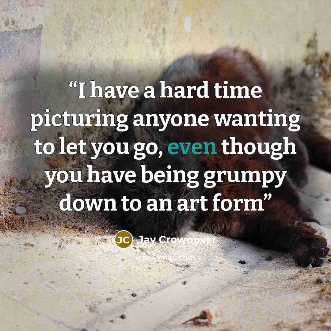 “I have a hard time picturing anyone wanting to let you go, even though you have being grumpy down to an art form” quote by Jay Crownover