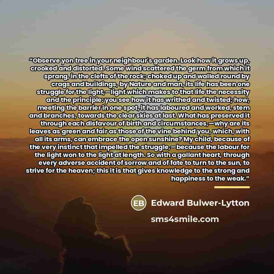 “Observe yon tree in your neighbour's garden. Look how it grows up, crooked and distorted. Some wind scattered the germ from which it sprang, in the clefts of the rock; choked up and walled round by crags and buildings, by Nature and man, its life has been one struggle for the light,—light which…” quote by Edward Bulwer-Lytton