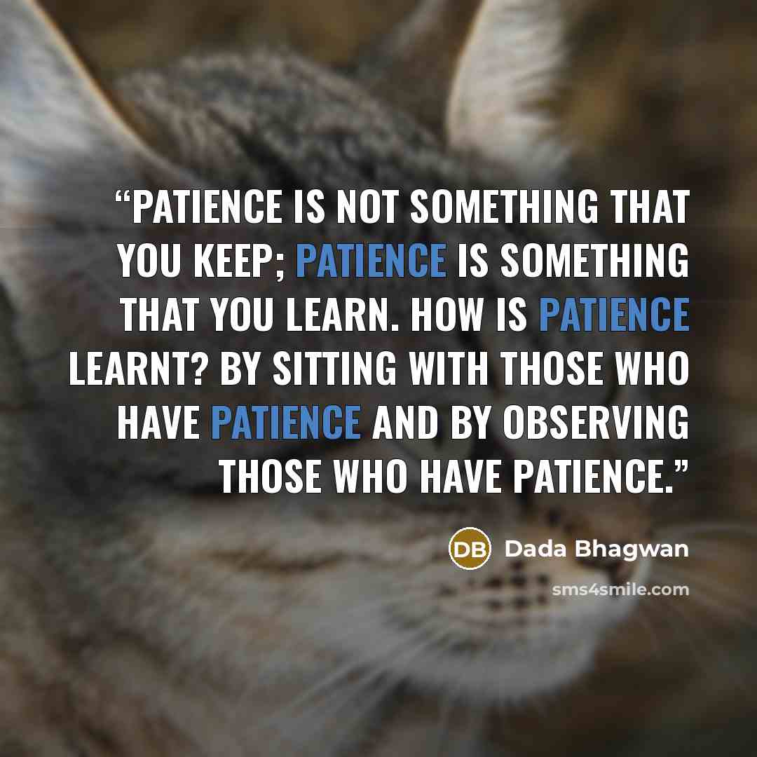 “Patience is not something that you keep; patience is something that you learn. How is patience learnt? By sitting with those who have patience and by observing those who have patience.” quote by Dada Bhagwan