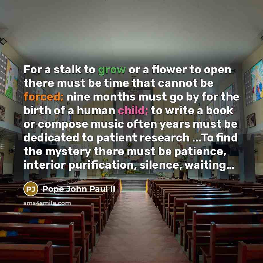 “For a stalk to grow or a flower to open there must be time that cannot be forced; nine months must go by for the birth of a human child; to write a book or compose music often years must be dedicated to patient research ...To find the mystery there must be patience, interior purification, silence…” quote by Pope John Paul II