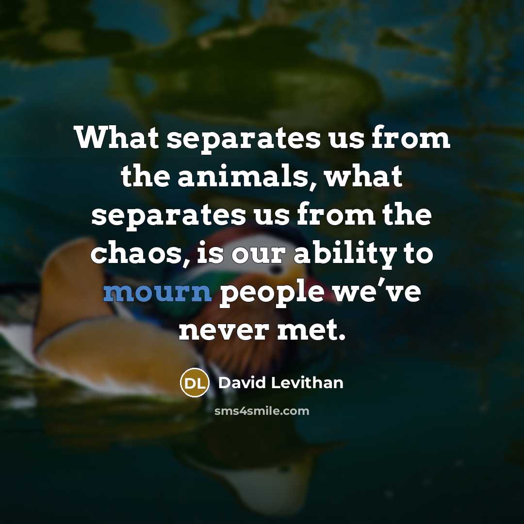 “What separates us from the animals, what separates us from the chaos, is our ability to mourn people we’ve never met.” quote by David Levithan