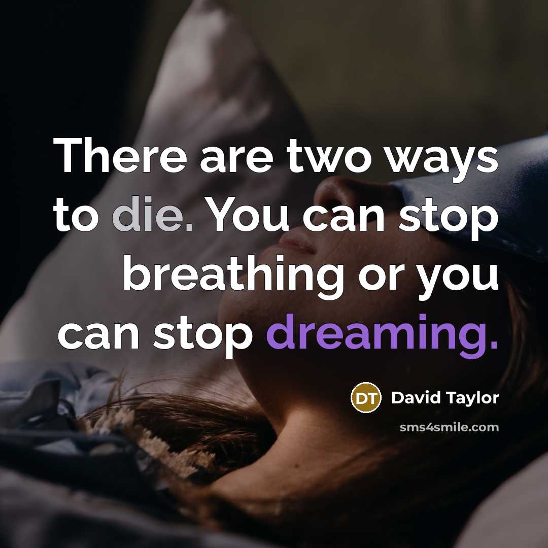 “There are two ways to die. You can stop breathing or you can stop dreaming.” quote by David Taylor