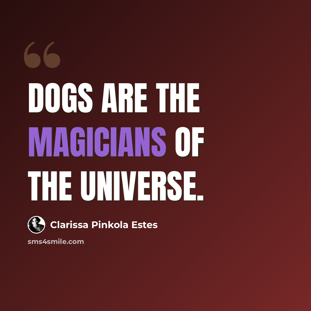 “Dogs are the magicians of the universe.” quote by Clarissa Pinkola Estes