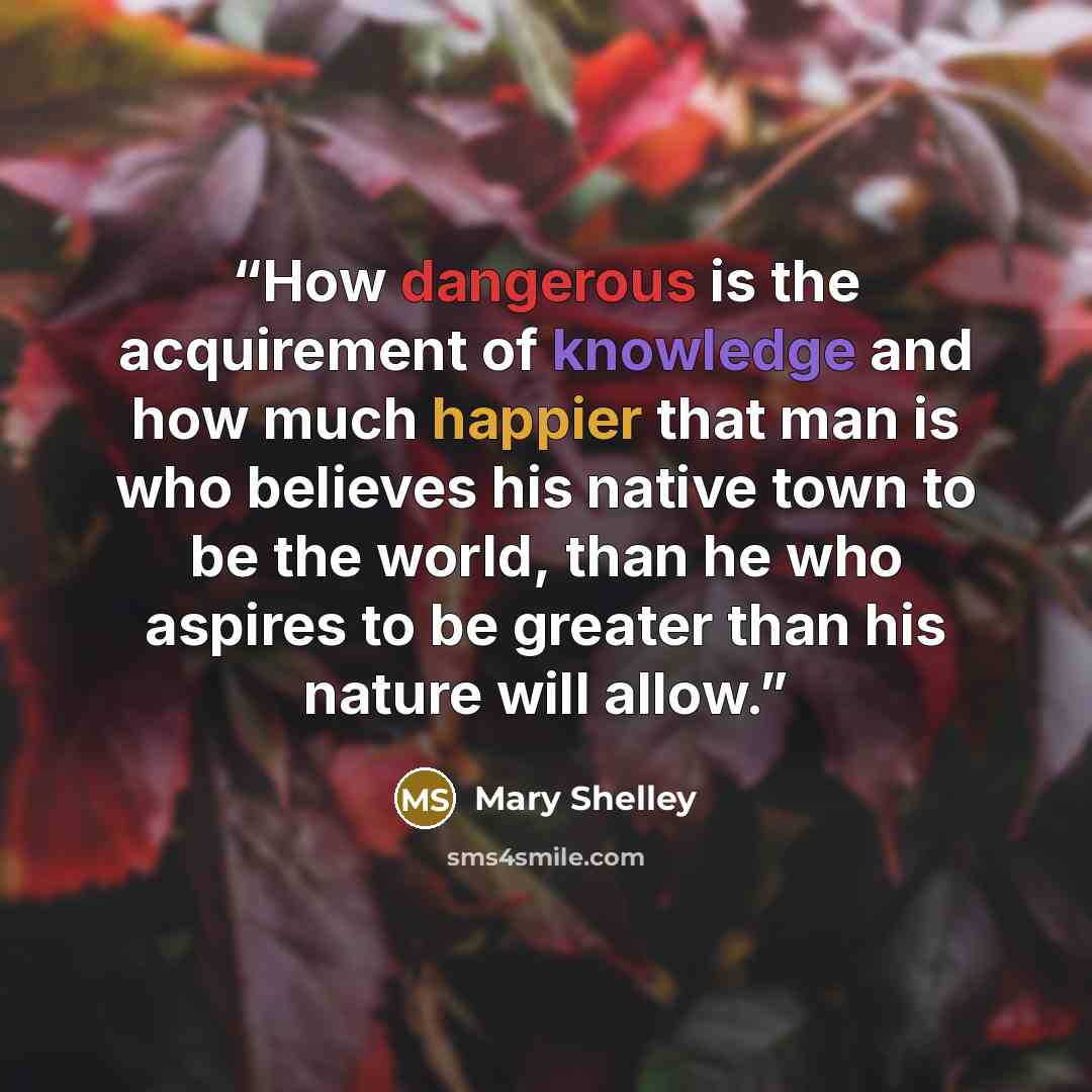 “How dangerous is the acquirement of knowledge and how much happier that man is who believes his native town to be the world, than he who aspires to be greater than his nature will allow.” quote by Mary Shelley