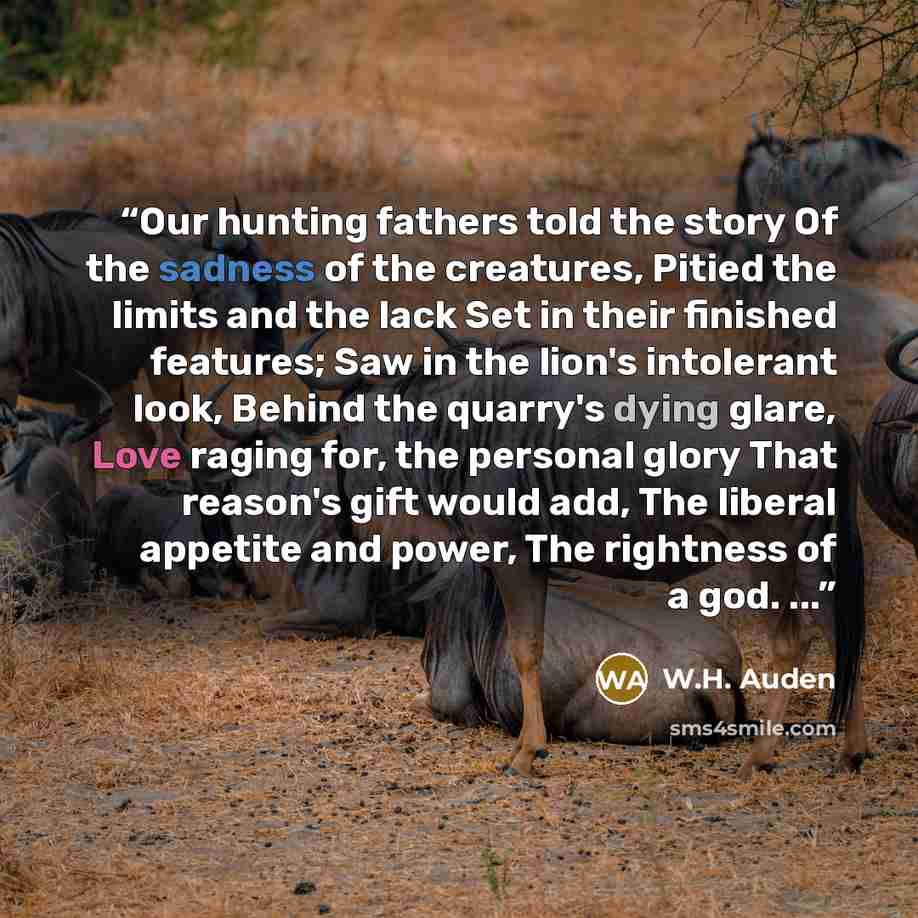 “Our hunting fathers told the story Of the sadness of the creatures, Pitied the limits and the lack Set in their finished features; Saw in the lion's intolerant look, Behind the quarry's dying glare, Love raging for, the personal glory That reason's gift would add, The liberal appetite and power…” quote by W.H. Auden