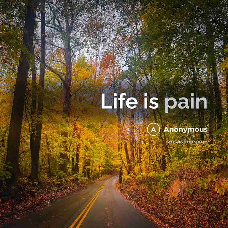 “Life is pain” quote by Anonymous