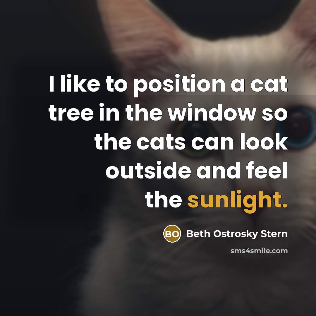 “I like to position a cat tree in the window so the cats can look outside and feel the sunlight.” quote by Beth Ostrosky Stern