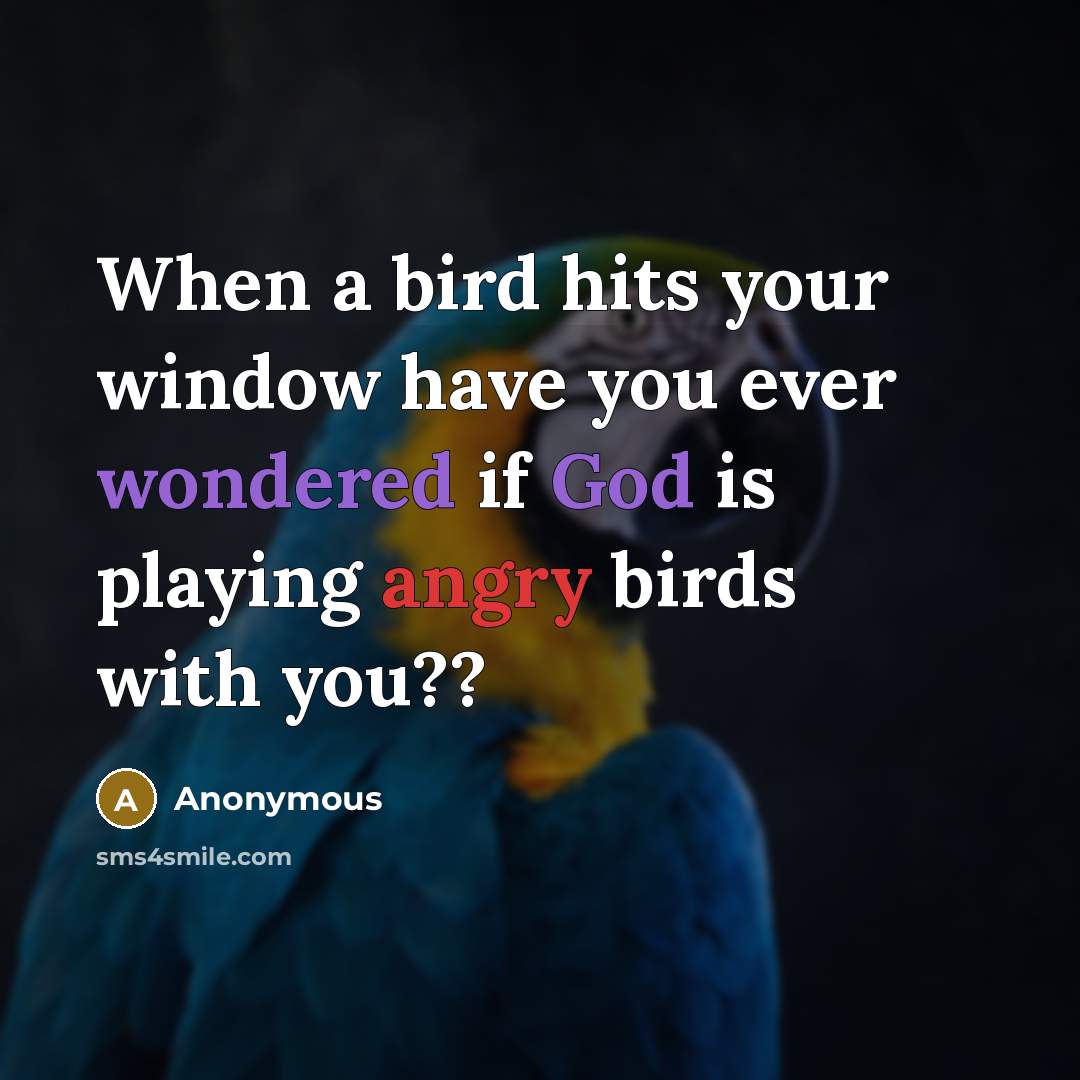 “When a bird hits your window have you ever wondered if God is playing angry birds with you??” quote by Anonymous