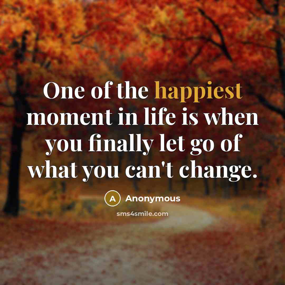 “One of the happiest moment in life is when you finally let go of what you can't change.” quote by Anonymous