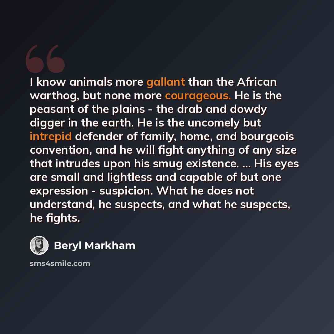 “I know animals more gallant than the African warthog, but none more courageous. He is the peasant of the plains - the drab and dowdy digger in the earth. He is the uncomely but intrepid defender of family, home, and bourgeois convention, and he will fight anything of any size that intrudes upon…” quote by Beryl Markham