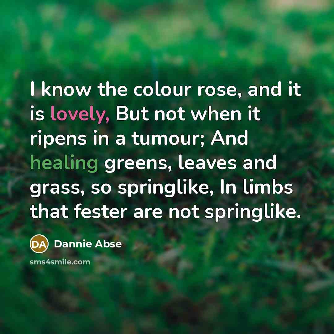 “I know the colour rose, and it is lovely, But not when it ripens in a tumour; And healing greens, leaves and grass, so springlike, In limbs that fester are not springlike.” quote by Dannie Abse