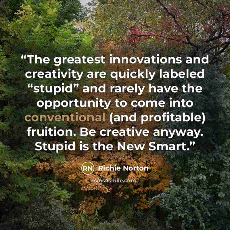 “The greatest innovations and creativity are quickly labeled “stupid” and rarely have the opportunity to come into conventional (and profit­able) fruition. Be creative anyway. Stupid is the New Smart.” quote by Richie Norton
