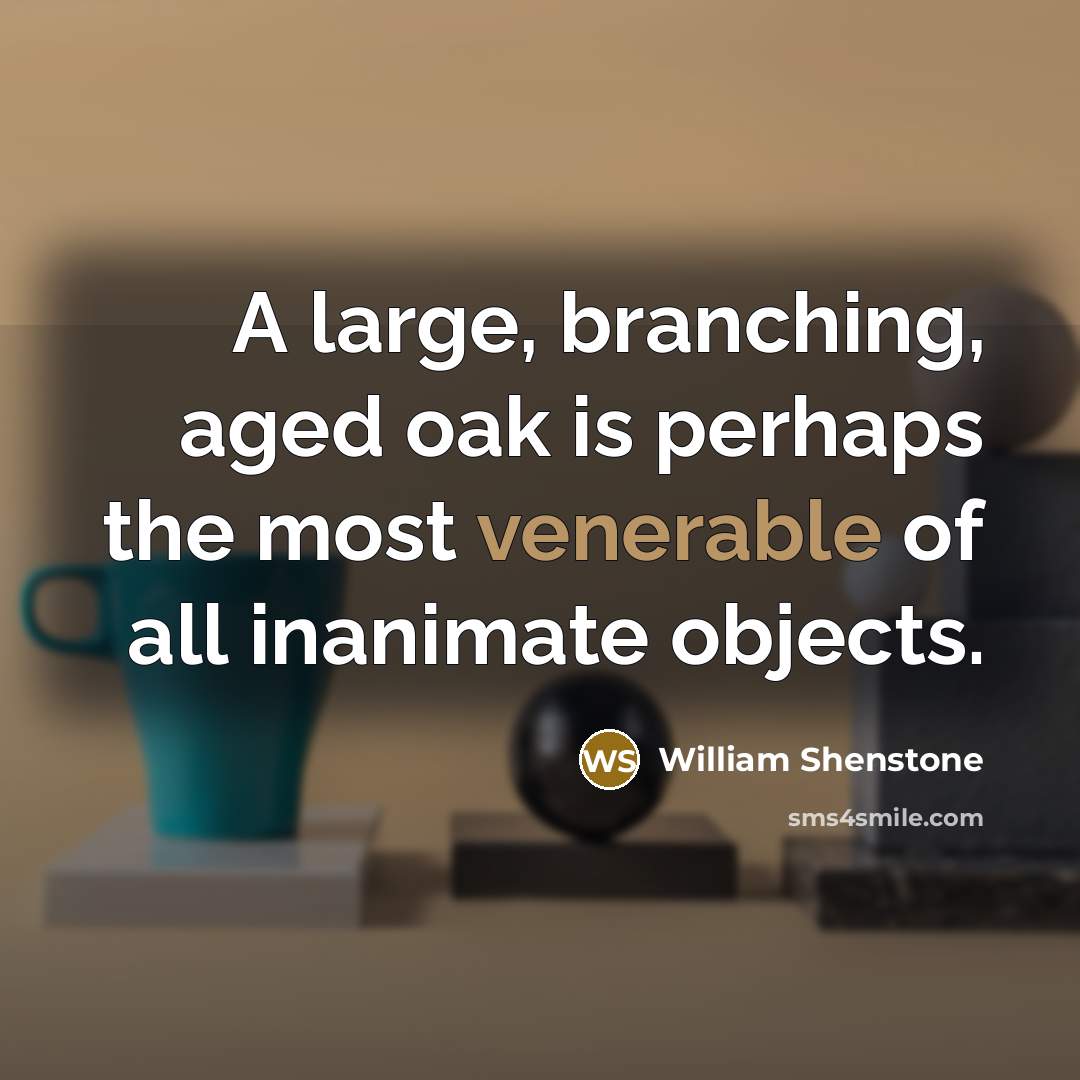 “A large, branching, aged oak is perhaps the most venerable of all inanimate objects.” quote by William Shenstone