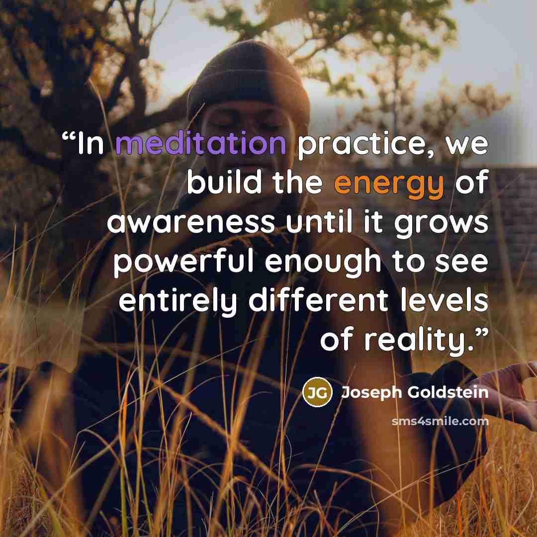 “In meditation practice, we build the energy of awareness until it grows powerful enough to see entirely different levels of reality.” quote by Joseph Goldstein