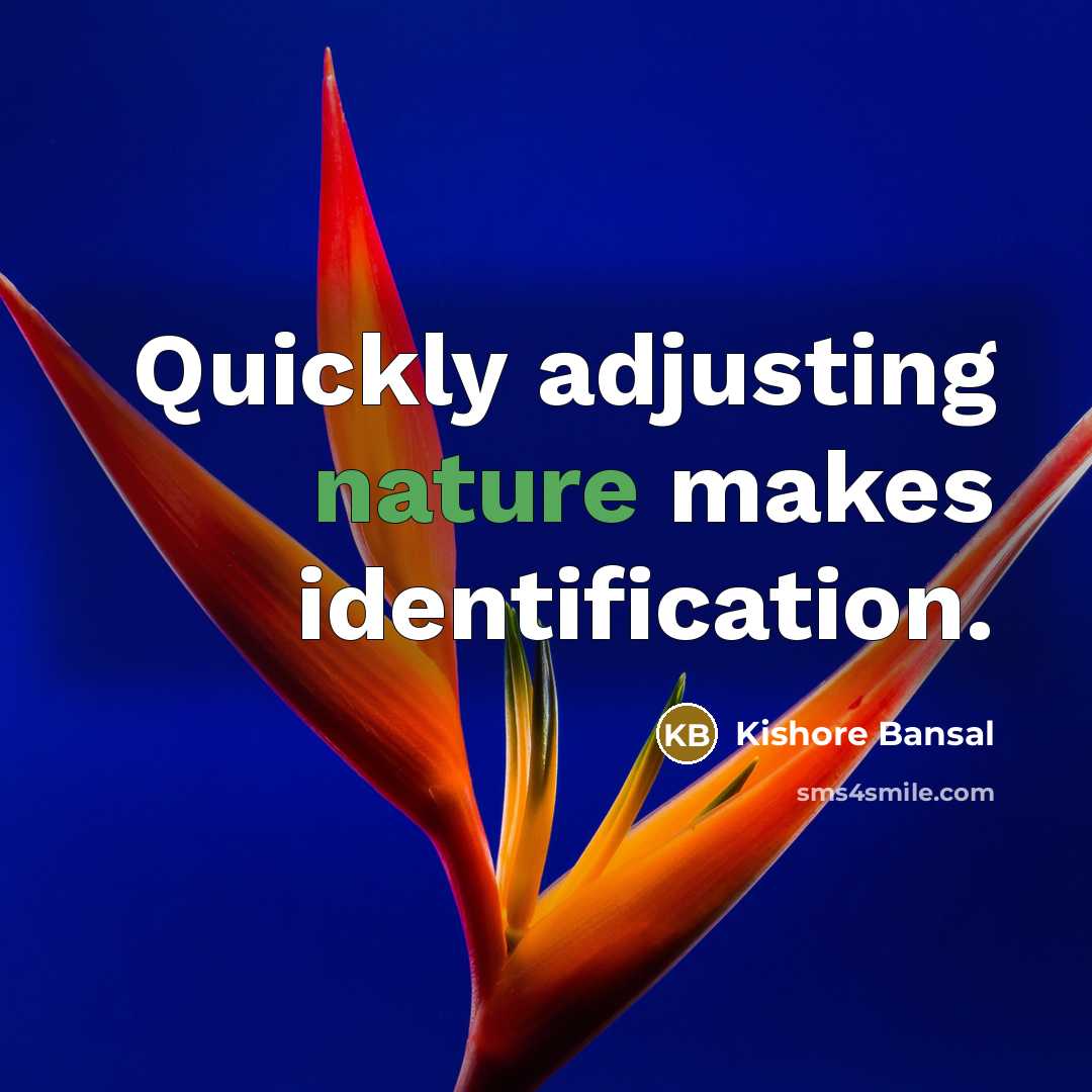 “Quickly adjusting nature makes identification.” quote by Kishore Bansal