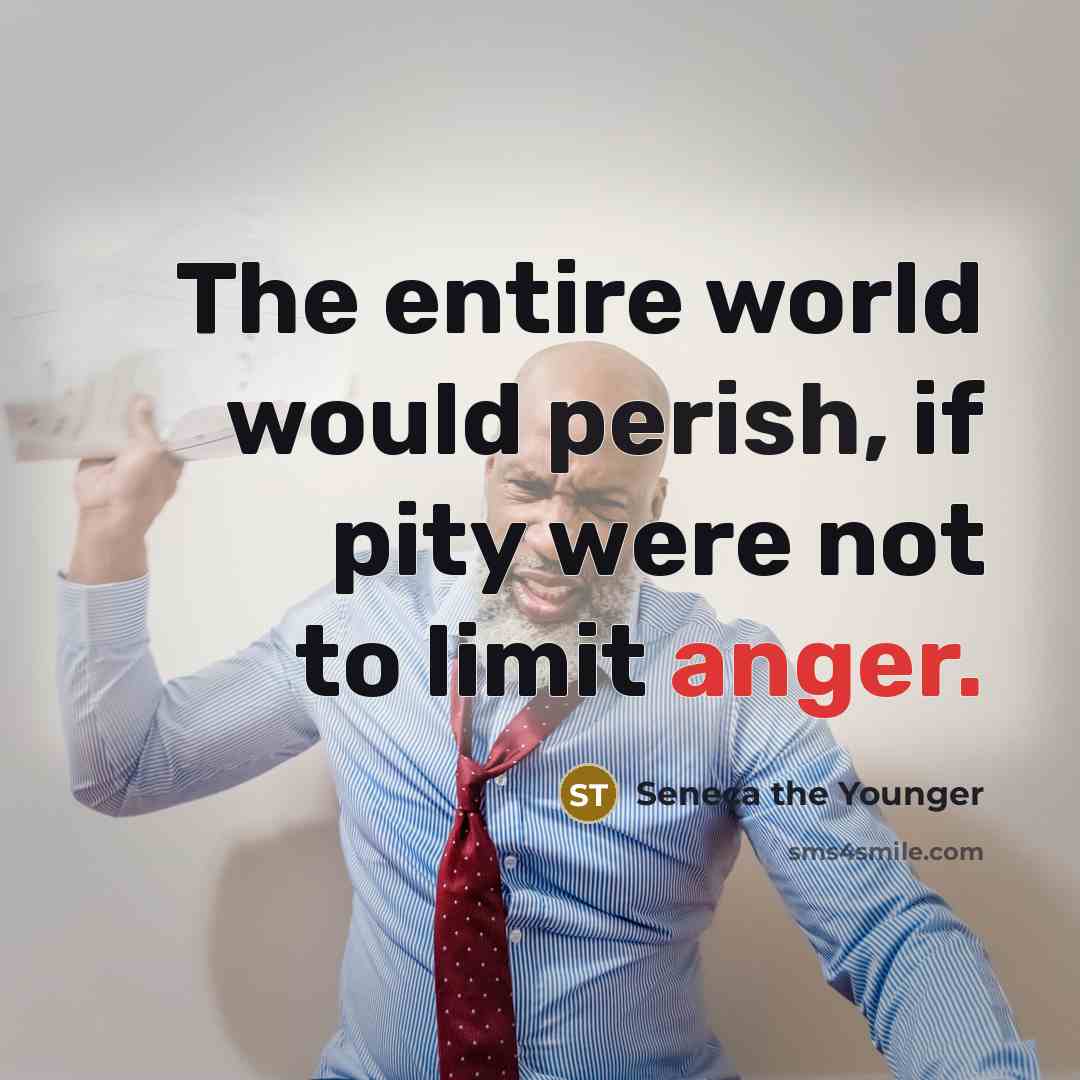 “The entire world would perish, if pity were not to limit anger.” quote by Seneca the Younger