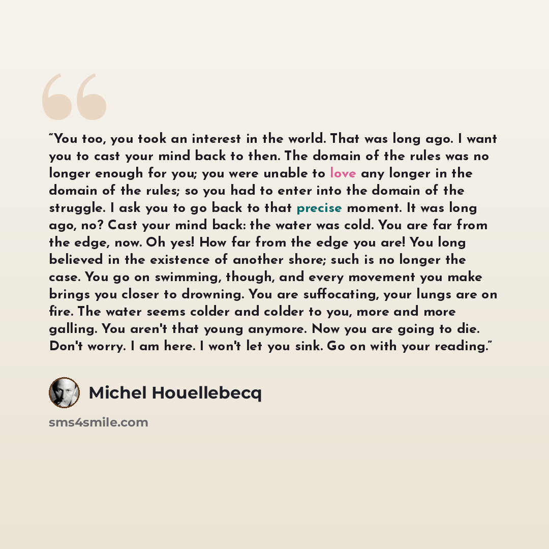 “You too, you took an interest in the world. That was long ago. I want you to cast your mind back to then. The domain of the rules was no longer enough for you; you were unable to love any longer in the domain of the rules; so you had to enter into the domain of the struggle. I ask you to go back…” quote by Michel Houellebecq