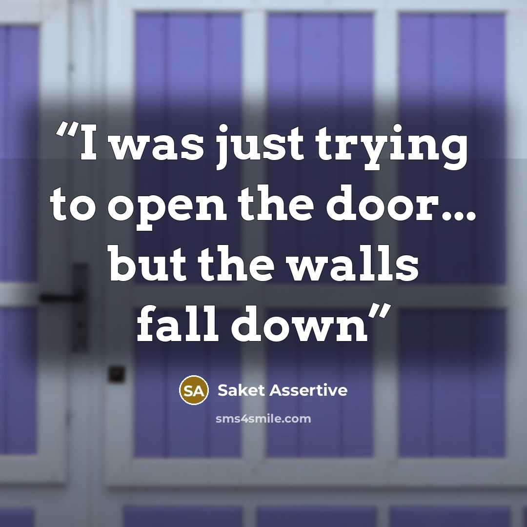 “I was just trying to open the door... but the walls fall down” quote by Saket Assertive