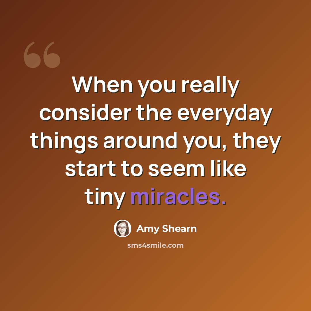 “When you really consider the everyday things around you, they start to seem like tiny miracles.” quote by Amy Shearn