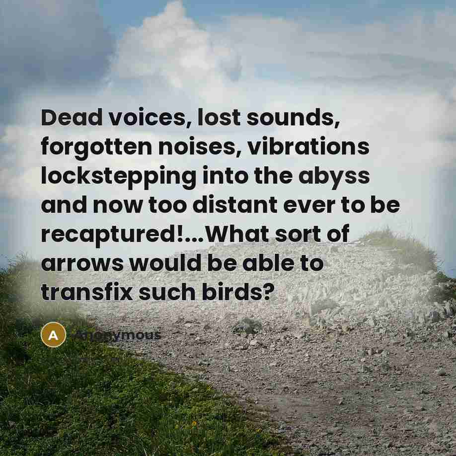 “Dead voices, lost sounds, forgotten noises, vibrations lockstepping into the abyss and now too distant ever to be recaptured!...What sort of arrows would be able to transfix such birds?” quote by Anonymous