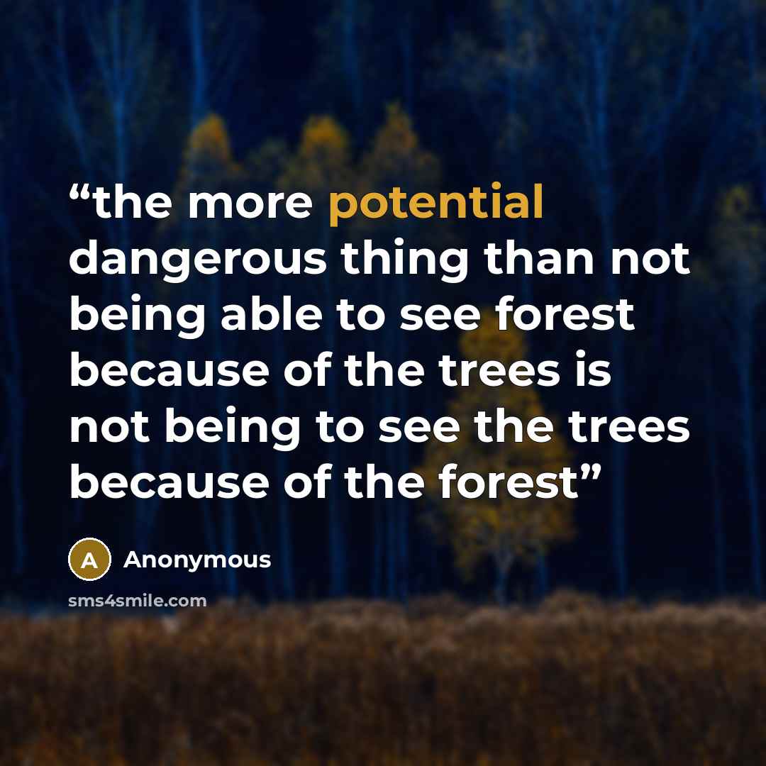 “the more potential dangerous thing than not being able to see forest because of the trees is not being to see the trees because of the forest” quote by Anonymous