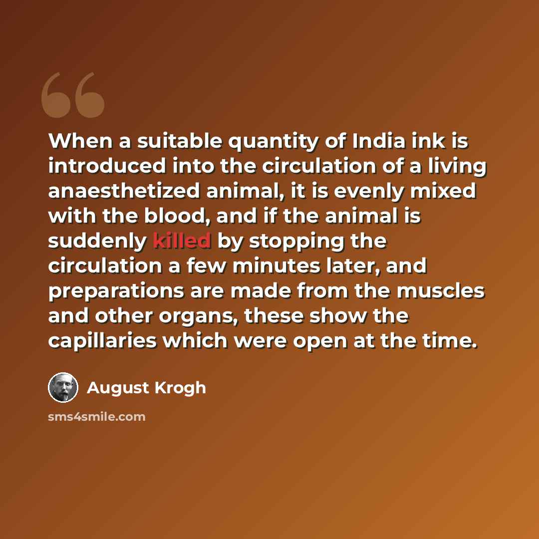 “When a suitable quantity of India ink is introduced into the circulation of a living anaesthetized animal, it is evenly mixed with the blood, and if the animal is suddenly killed by stopping the circulation a few minutes later, and preparations are made from the muscles and other organs, these…” quote by August Krogh
