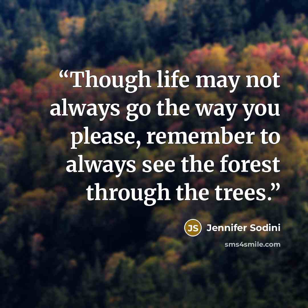 “Though life may not always go the way you please, remember to always see the forest through the trees.” quote by Jennifer Sodini