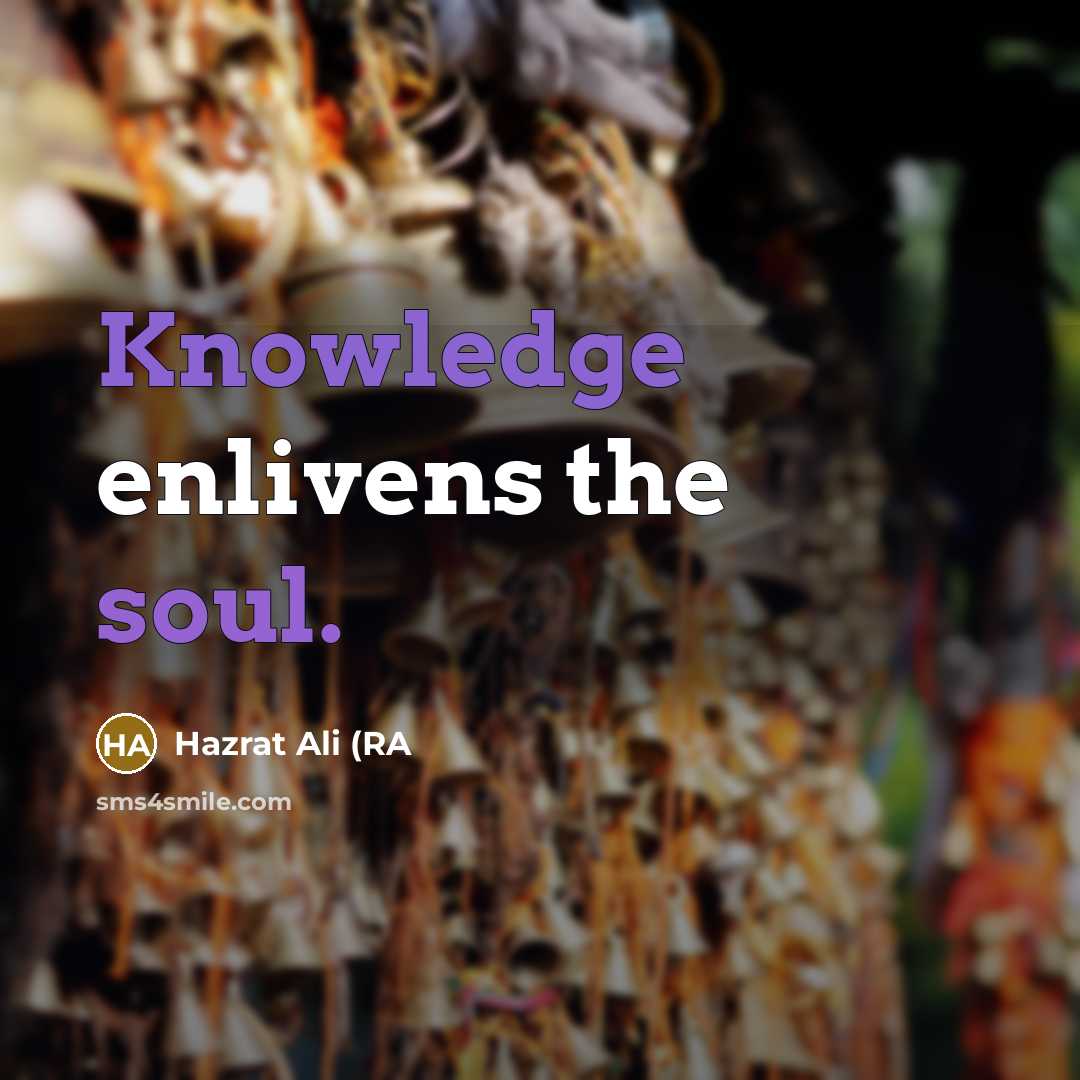 “Knowledge enlivens the soul.” quote by Hazrat Ali (RA
