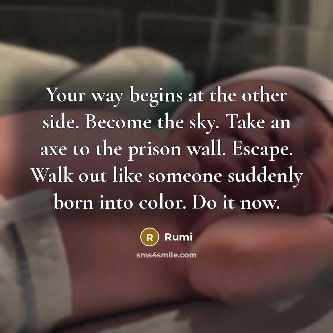 “Your way begins at the other side. Become the sky. Take an axe to the prison wall. Escape. Walk out like someone suddenly born into color. Do it now.” quote by Rumi