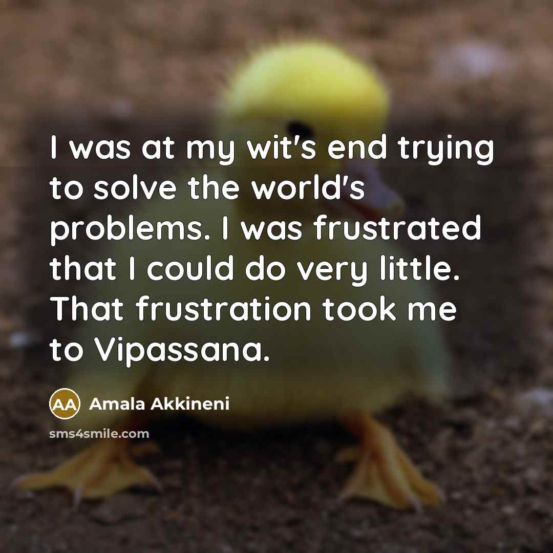 “I was at my wit's end trying to solve the world's problems. I was frustrated that I could do very little. That frustration took me to Vipassana.” quote by Amala Akkineni