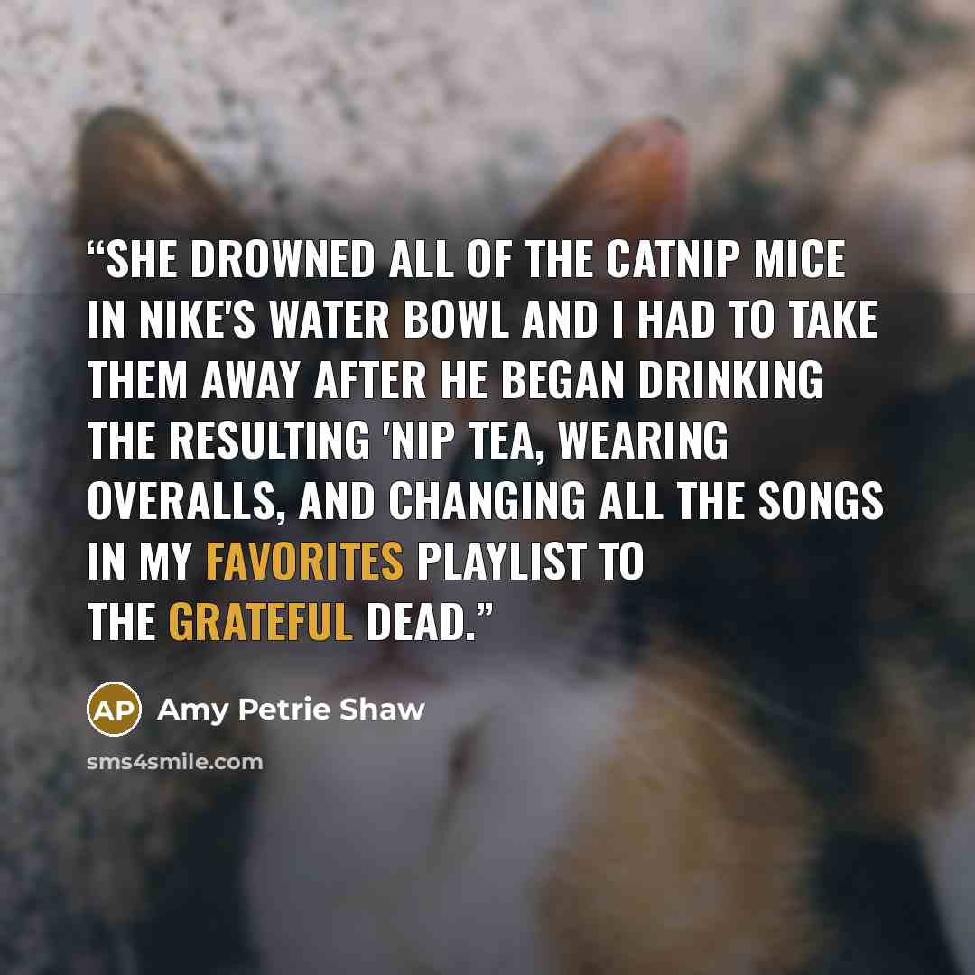 “She drowned all of the catnip mice in Nike's water bowl and I had to take them away after he began drinking the resulting 'nip tea, wearing overalls, and changing all the songs in my favorites playlist to the Grateful Dead.” quote by Amy Petrie Shaw