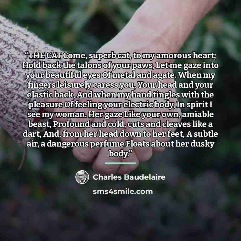 “THE CAT Come, superb cat, to my amorous heart; Hold back the talons of your paws, Let me gaze into your beautiful eyes Of metal and agate. When my fingers leisurely caress you, Your head and your elastic back, And when my hand tingles with the pleasure Of feeling your electric body, In spirit I…” quote by Charles Baudelaire