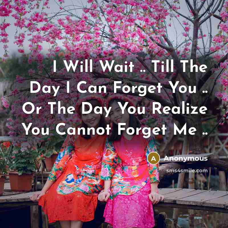 “I Will Wait .. Till The Day I Can Forget You .. Or The Day You Realize You Cannot Forget Me ..” quote by Anonymous