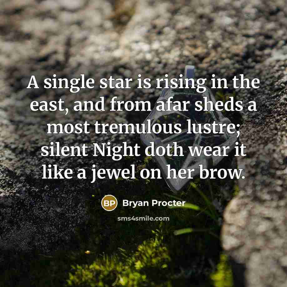 “A single star is rising in the east, and from afar sheds a most tremulous lustre; silent Night doth wear it like a jewel on her brow.” quote by Bryan Procter