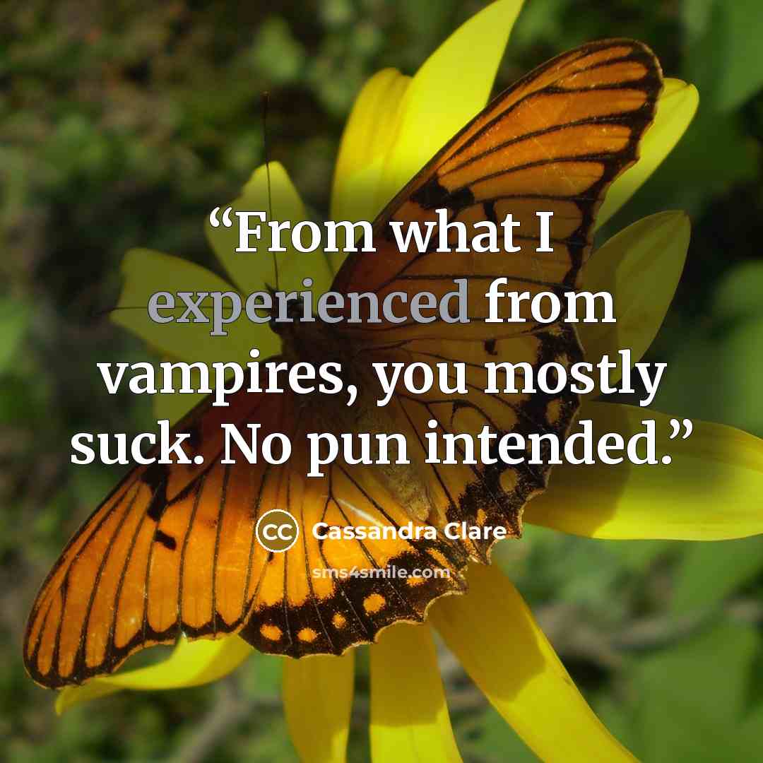 “From what I experienced from vampires, you mostly suck. No pun intended.” quote by Cassandra Clare