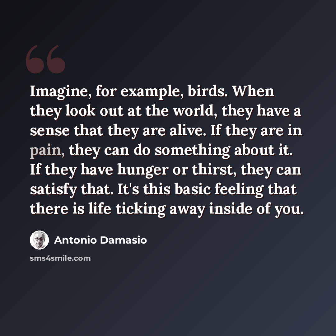 “Imagine, for example, birds. When they look out at the world, they have a sense that they are alive. If they are in pain, they can do something about it. If they have hunger or thirst, they can satisfy that. It's this basic feeling that there is life ticking away inside of you.” quote by Antonio Damasio
