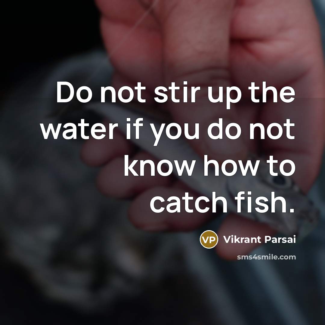 “Do not stir up the water if you do not know how to catch fish.” quote by Vikrant Parsai