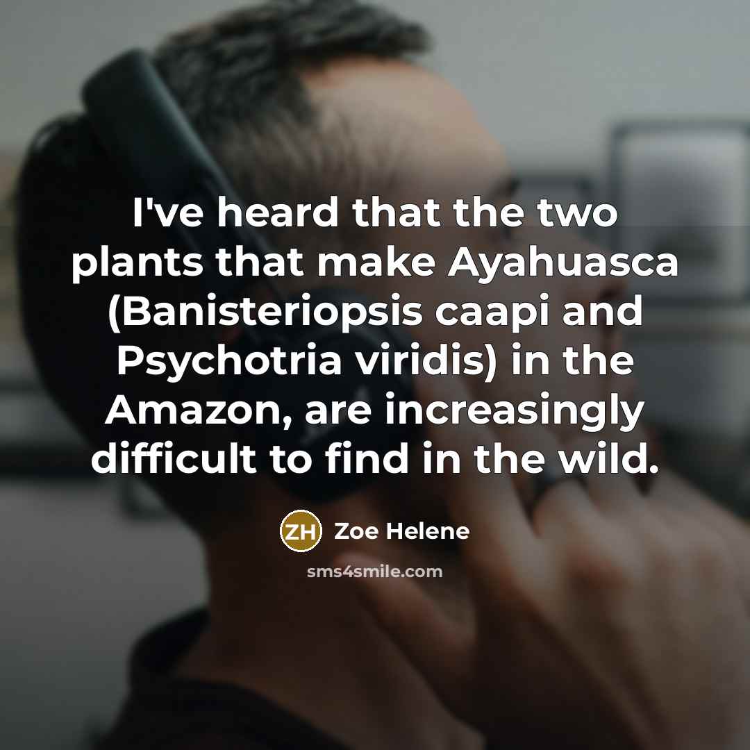 “I've heard that the two plants that make Ayahuasca (Banisteriopsis caapi and Psychotria viridis) in the Amazon, are increasingly difficult to find in the wild.” quote by Zoe Helene