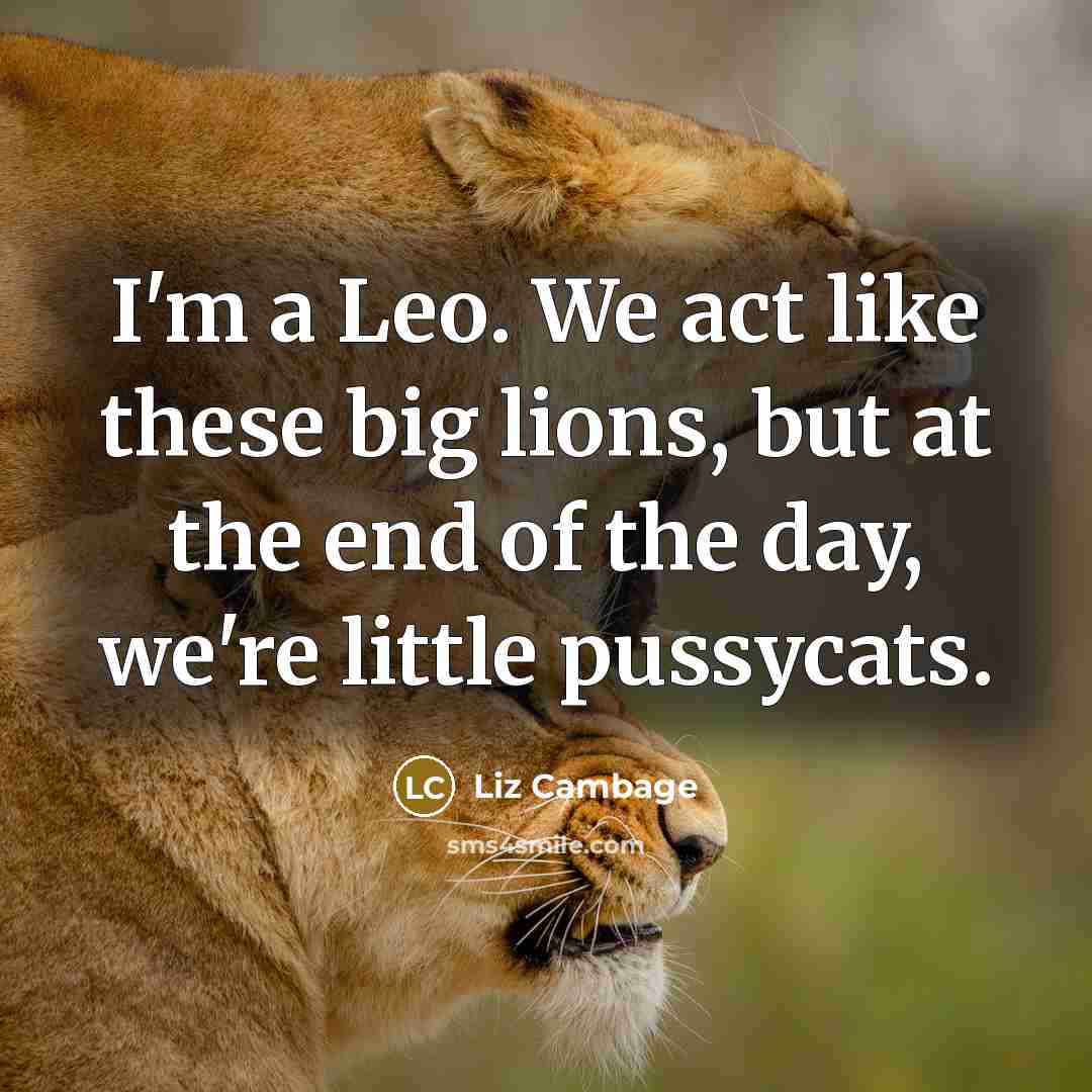 “I'm a Leo. We act like these big lions, but at the end of the day, we're little pussycats.” quote by Liz Cambage