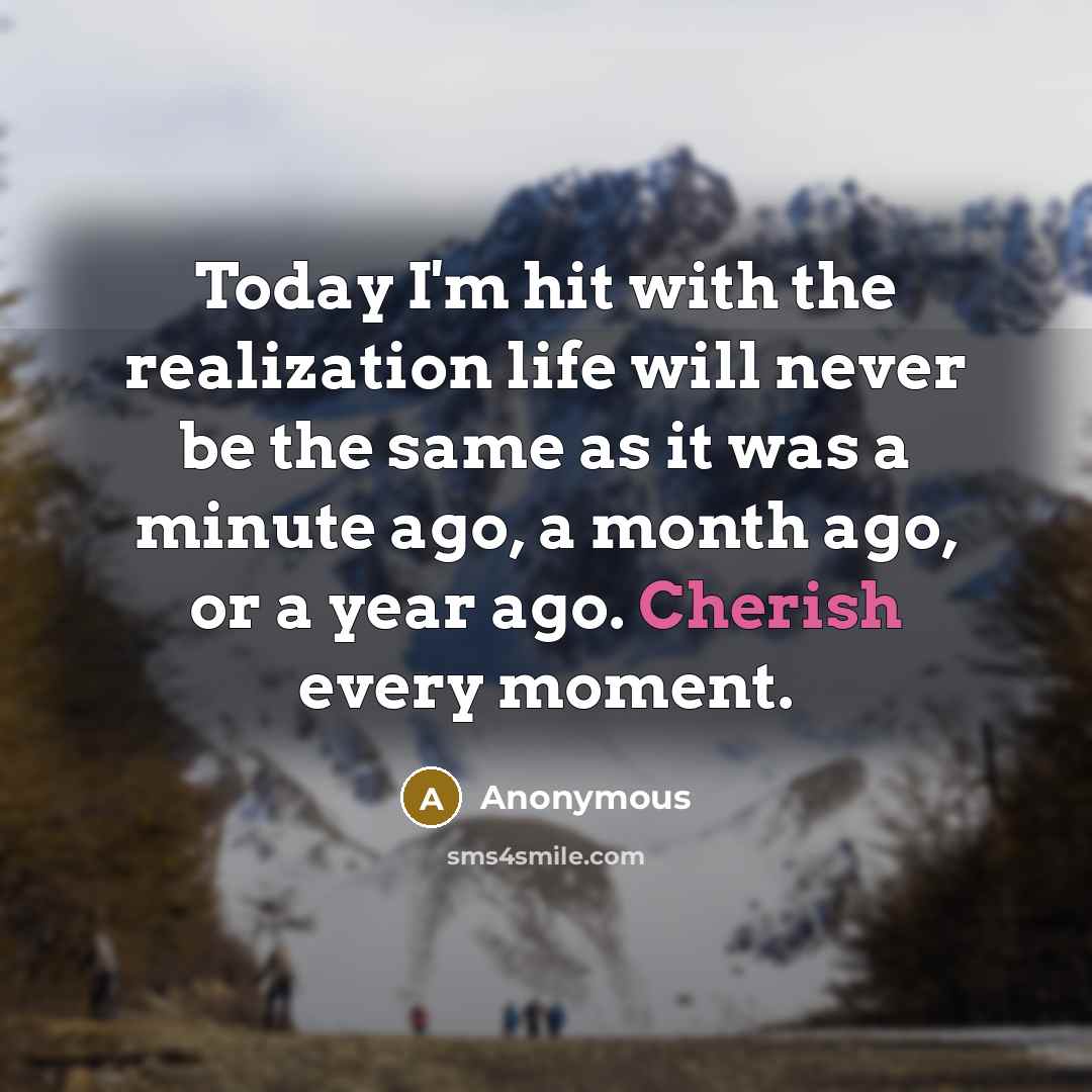 “Today I'm hit with the realization life will never be the same as it was a minute ago, a month ago, or a year ago. Cherish every moment.” quote by Anonymous