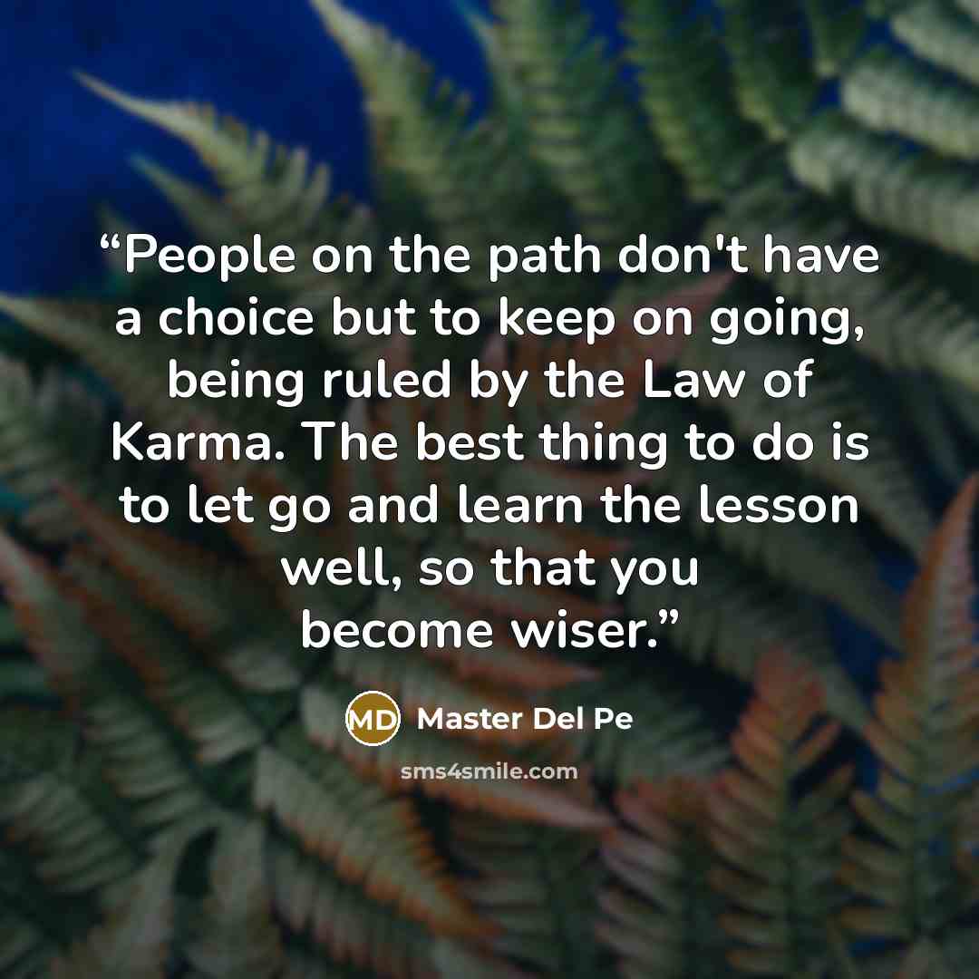 “People on the path don't have a choice but to keep on going, being ruled by the Law of Karma. The best thing to do is to let go and learn the lesson well, so that you become wiser.” quote by Master Del Pe
