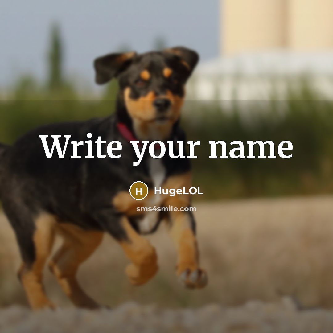 “Write your name” quote by HugeLOL